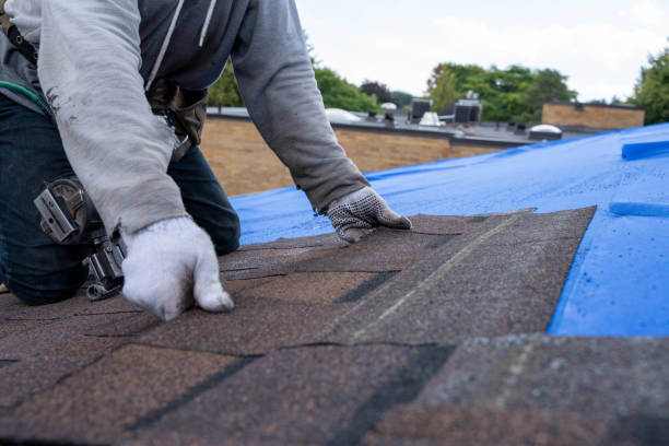 Best Shingle Roofing Installation  in Roaming Shores, OH