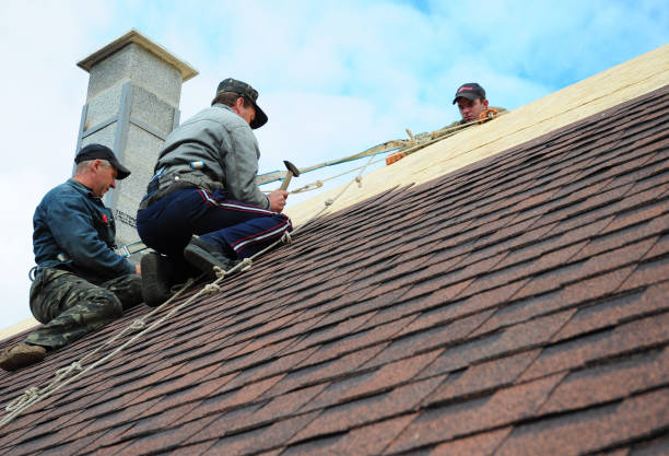 Best Roofing Contractor Near Me  in Roaming Shores, OH